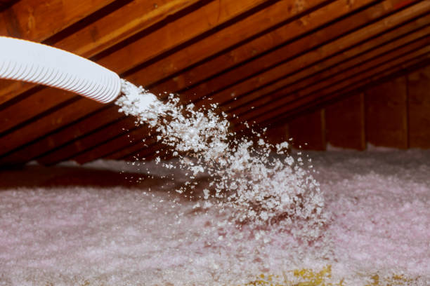 Best Spray Foam Insulation  in Trenton, MI