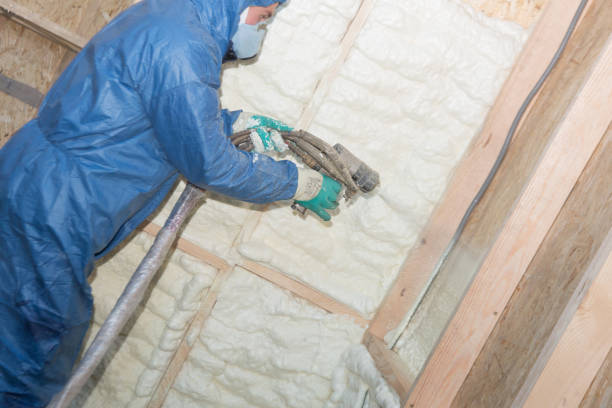 Best Batt and Roll Insulation  in Trenton, MI