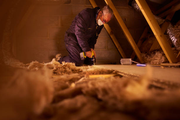 Best Garage Insulation  in Trenton, MI